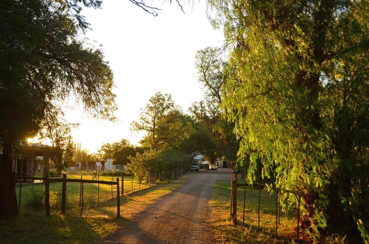 הוילה Hofmeyr Beaconsfield Farm מראה חיצוני תמונה